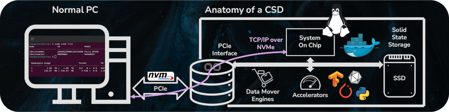 CSD Anatomy