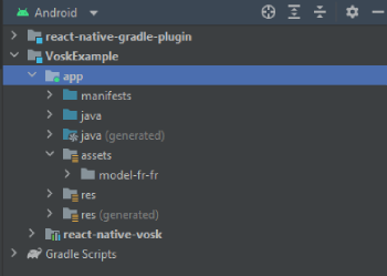 Android Studio final project structure
