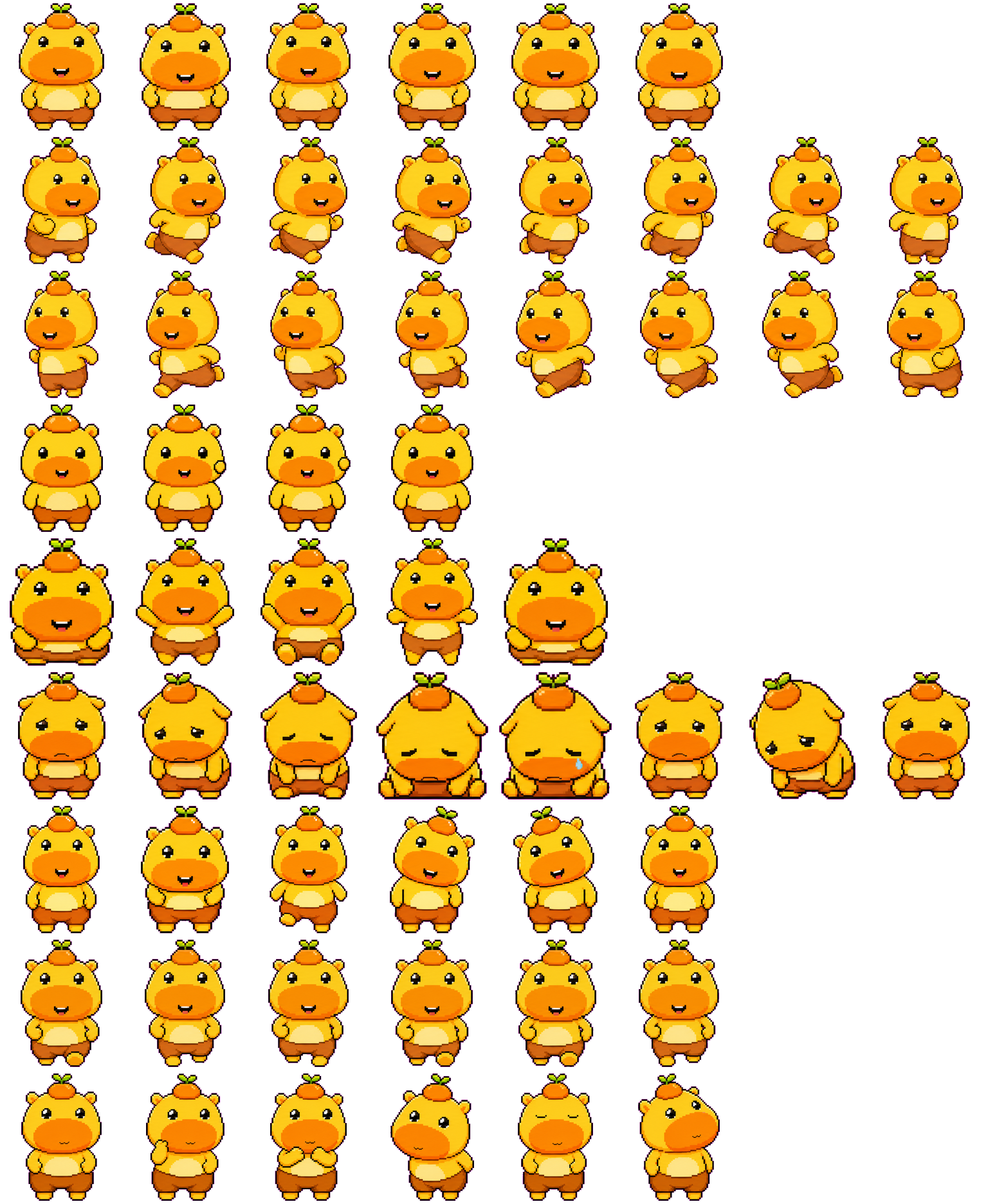 dsh-pets 噜噜宠物