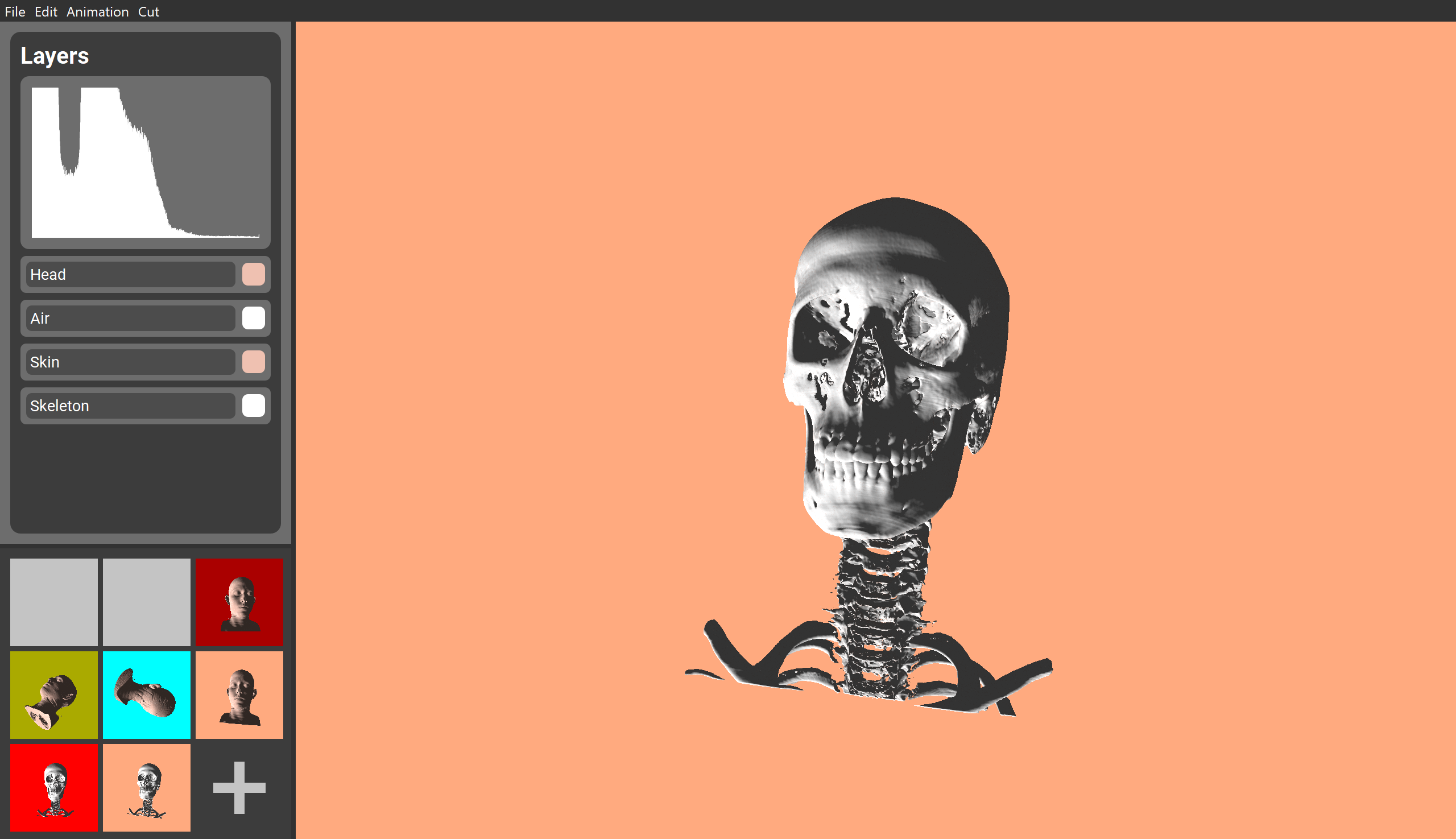 Skeleton