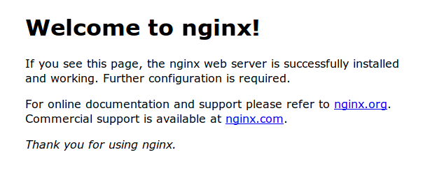 nginx browser