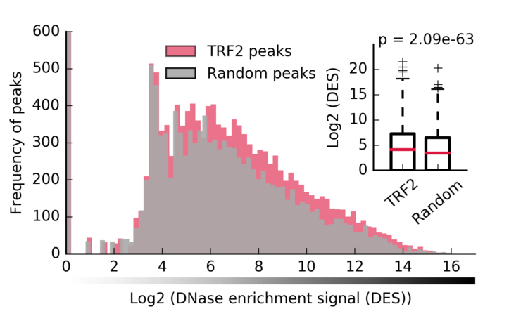 Figure-2A