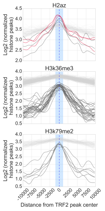 Figure-3B