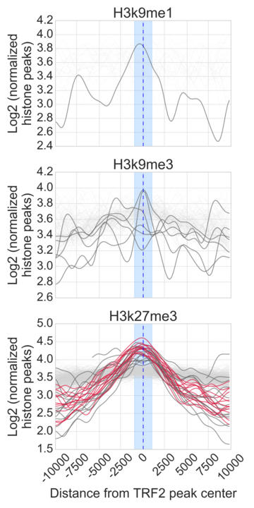 Figure-3B