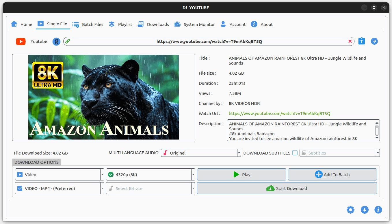 DL-YouTube downloading a video with format and quality options