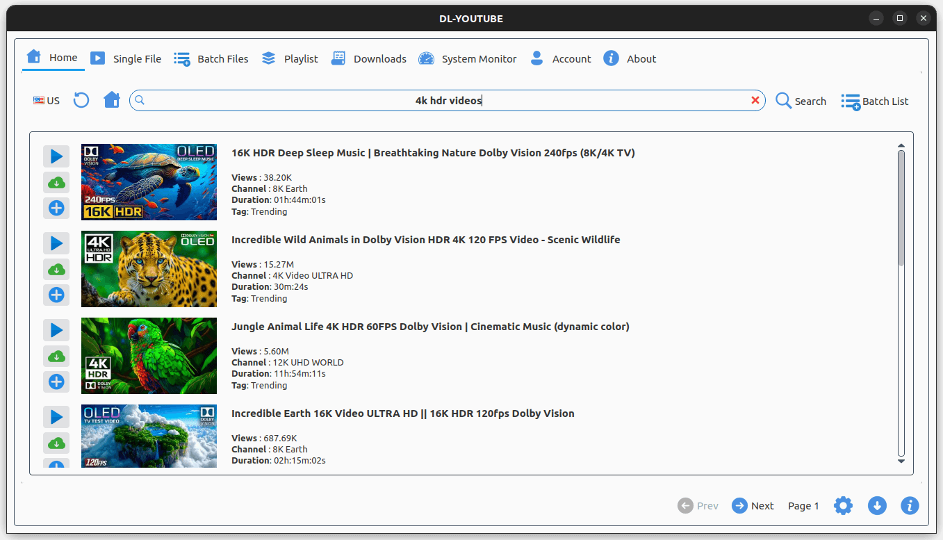 Searching YouTube directly inside the DL-YouTube desktop app