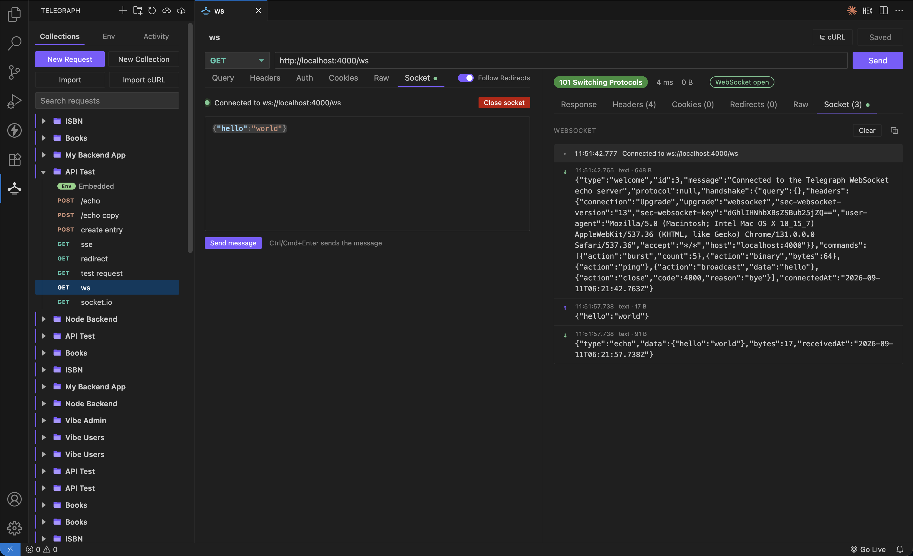 WebSocket session