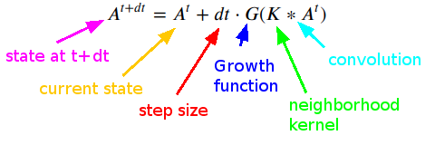 teaser figure showing Orbium and s613 CA