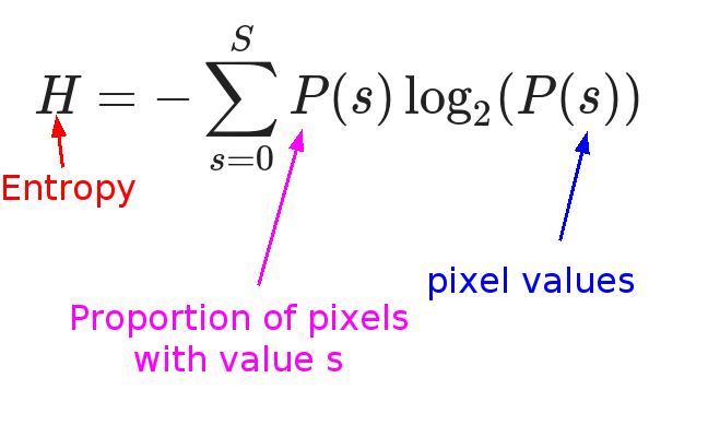 entropy equation