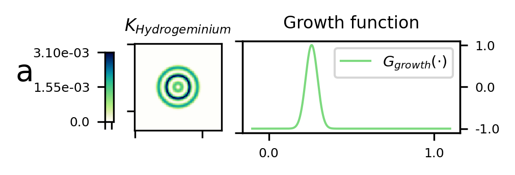 teaser figure showing Orbium and s613 CA