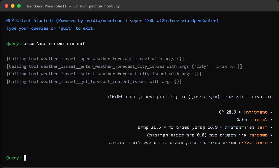 terminal output with the tool calls and the final answer