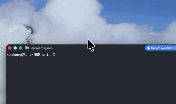 Snip demo — agent renders a diagram, user reviews and approves