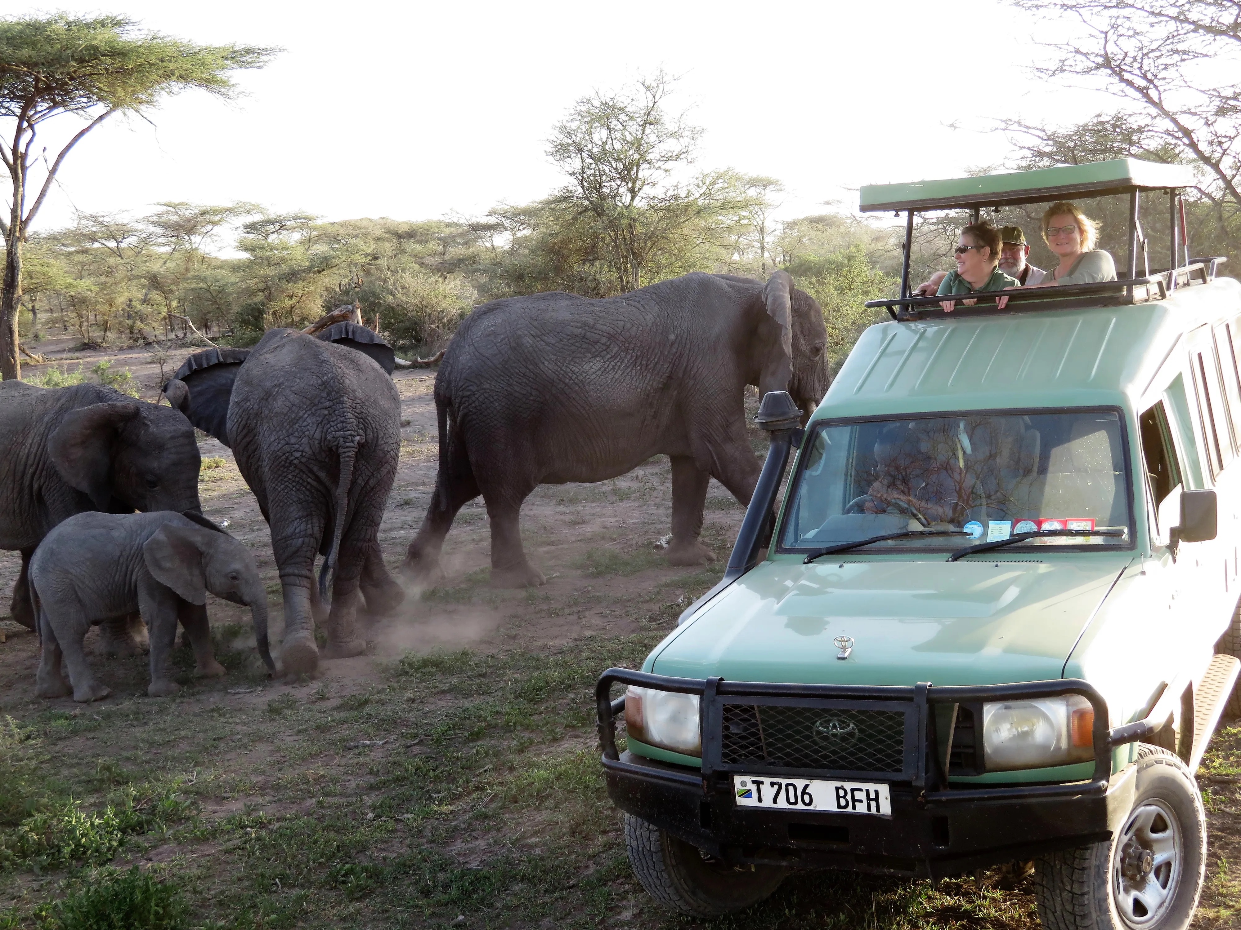 Photograph from our Tanzania safari