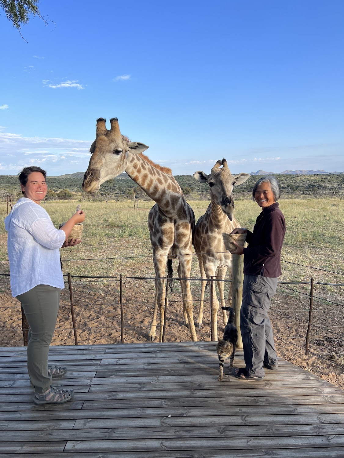 Photograph from our Namibia safari