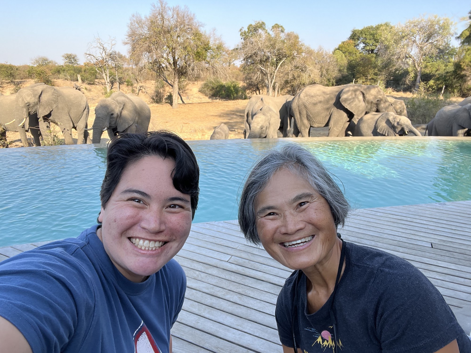 Photograph from our South Africa safari