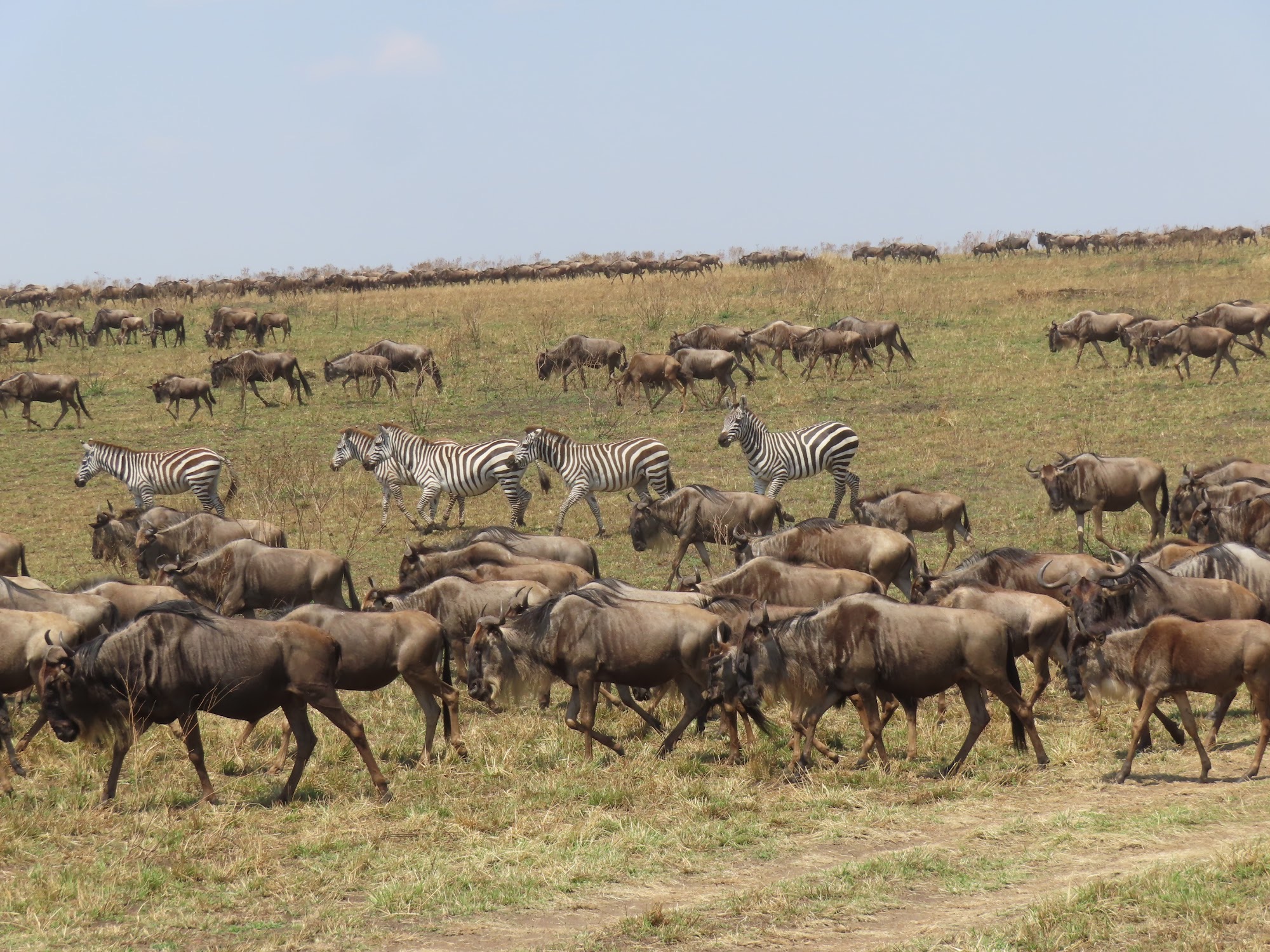 Photograph from our Kenya safari