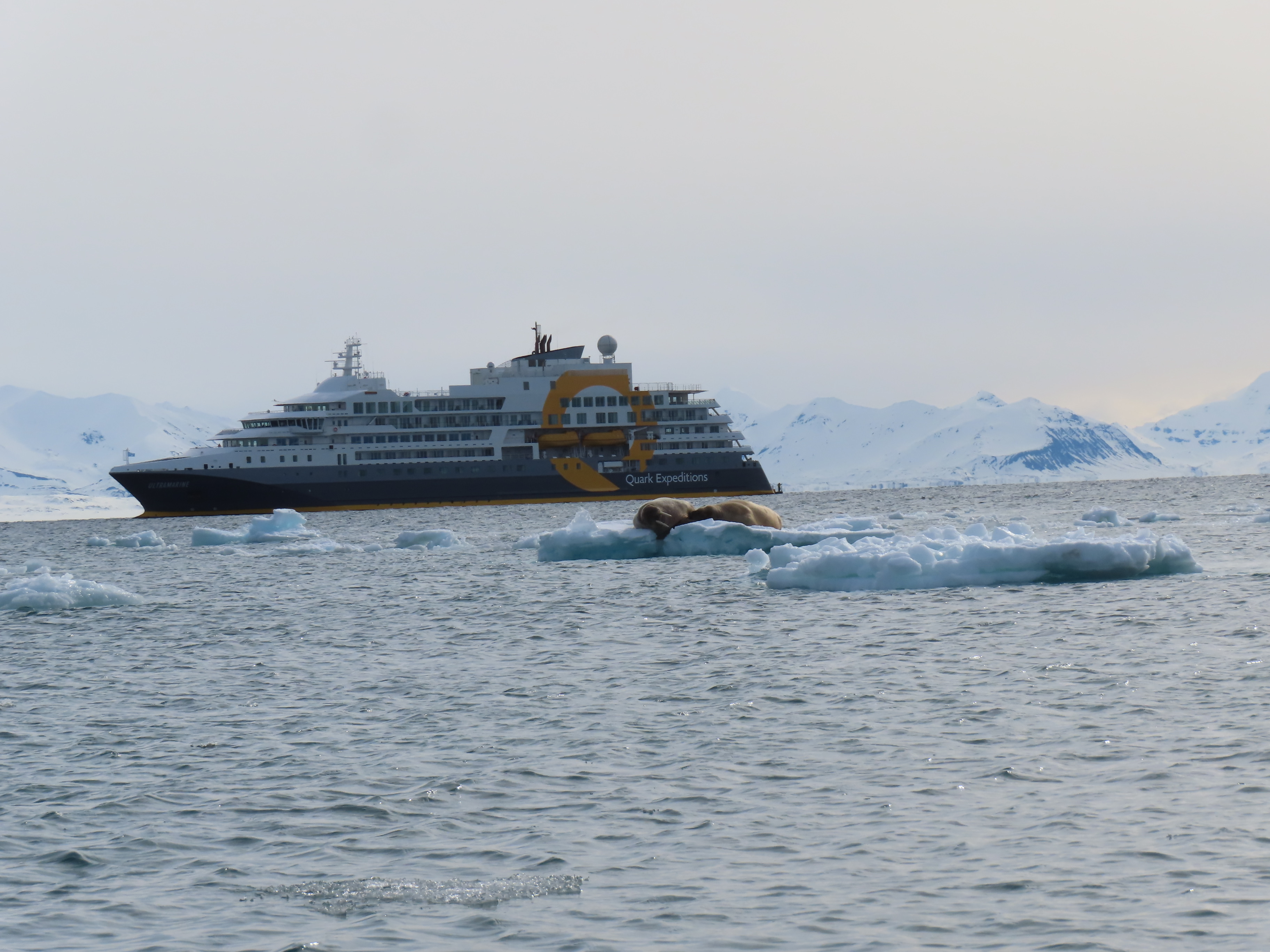 Arctic scenery from our expedition