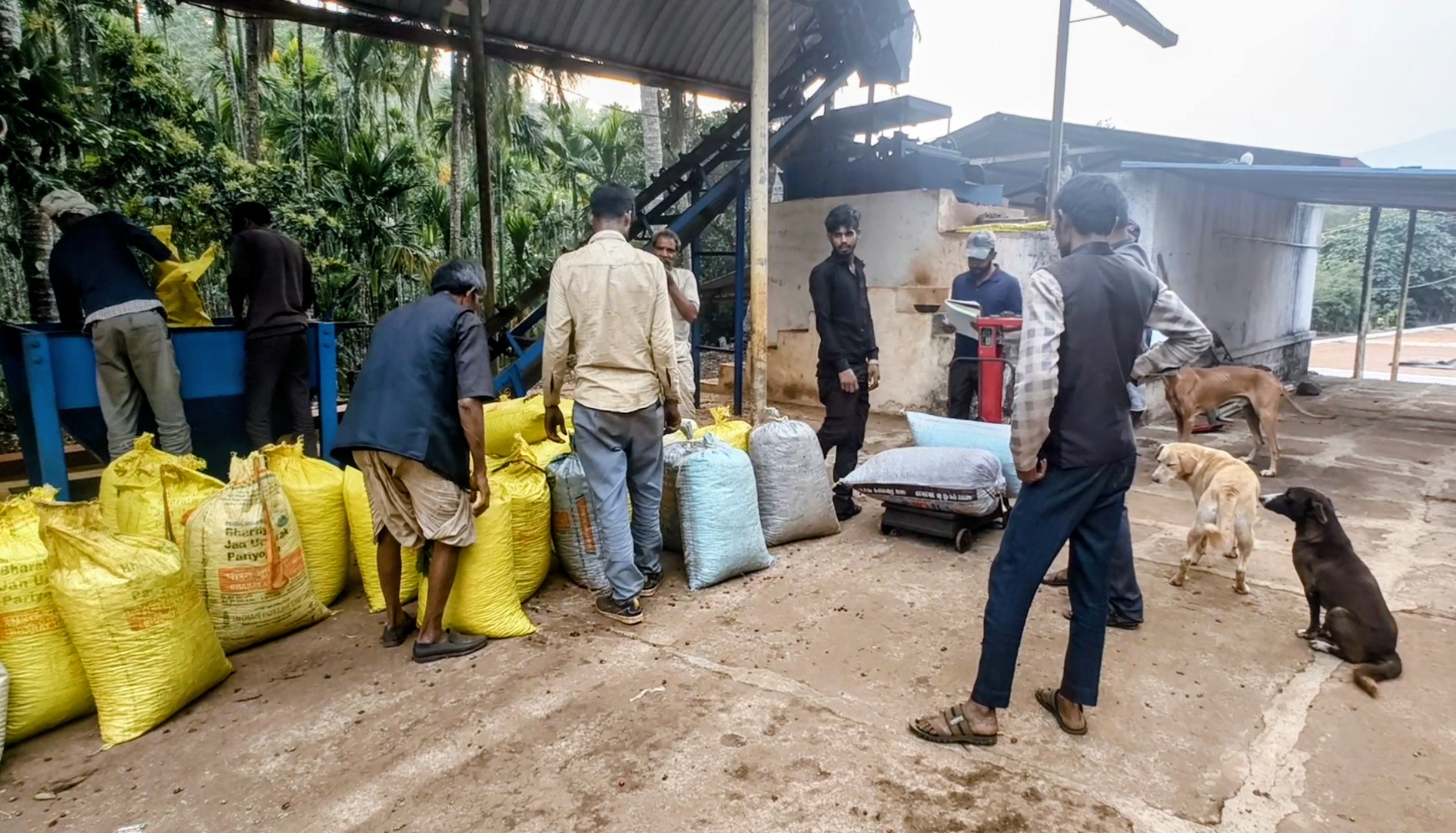 Weighing before pulper