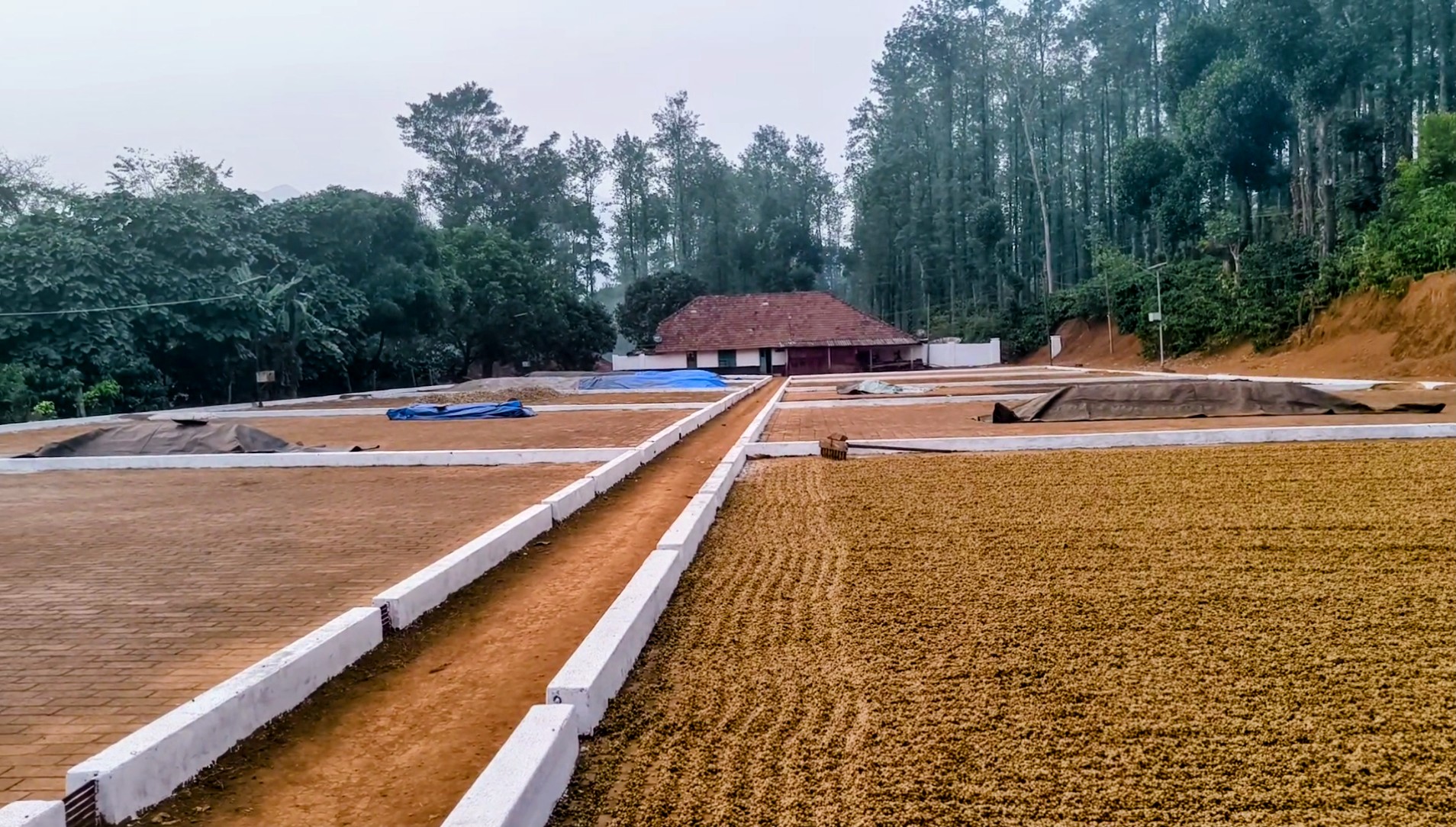 Drying yard in nature