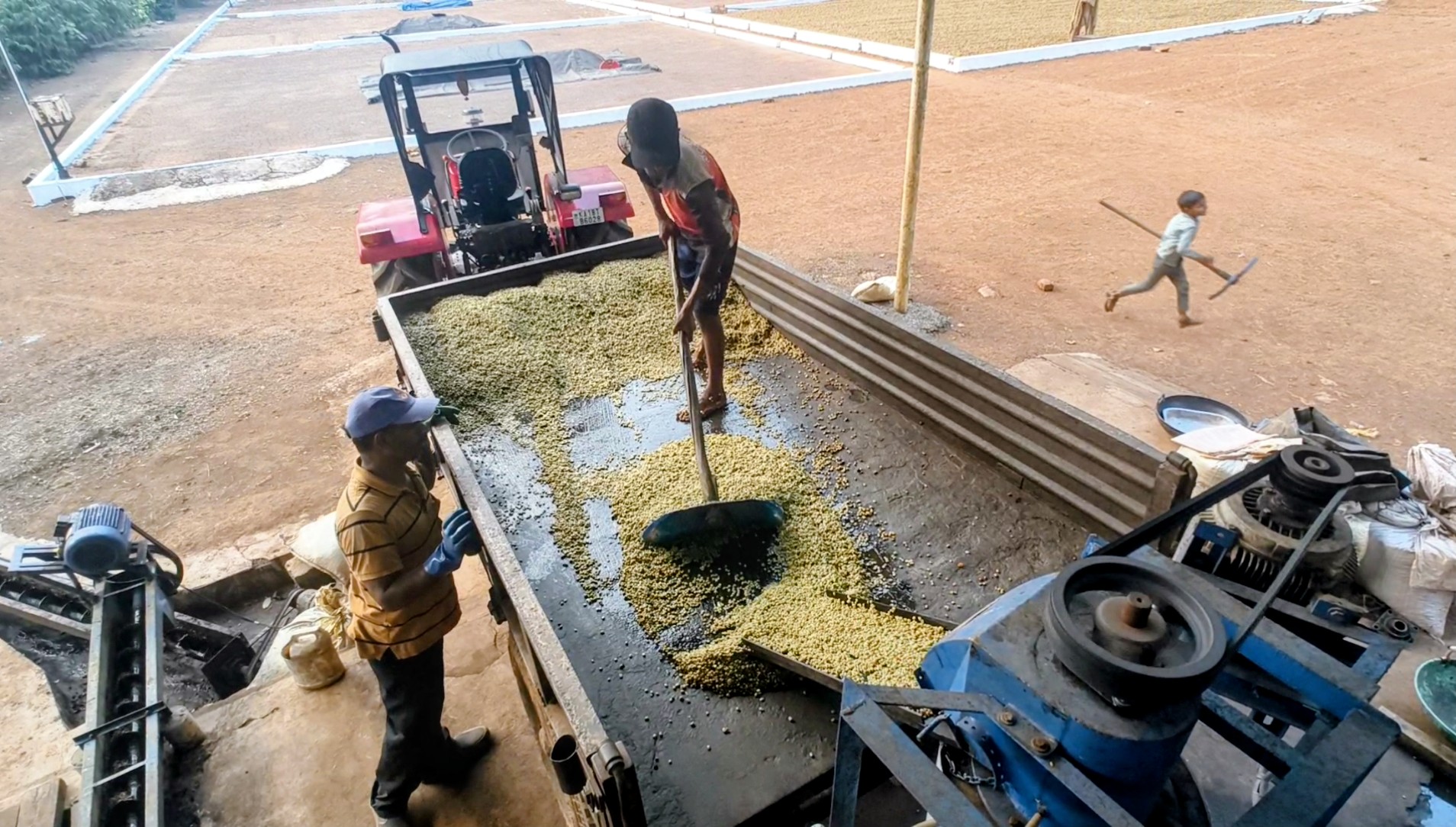 Parchment after pulping