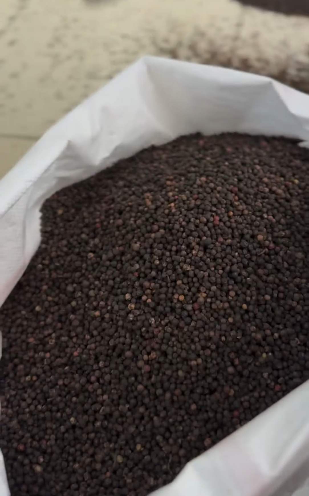 Dried black pepper in export sack