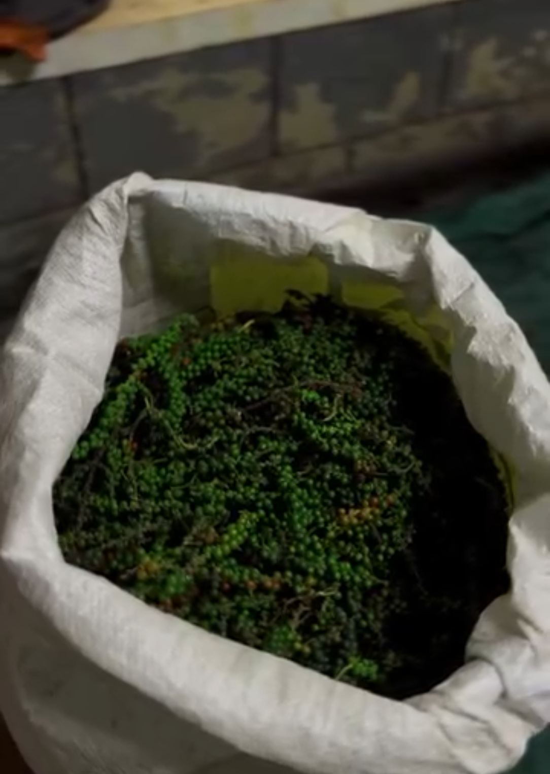 Fresh green pepper stalks bagged