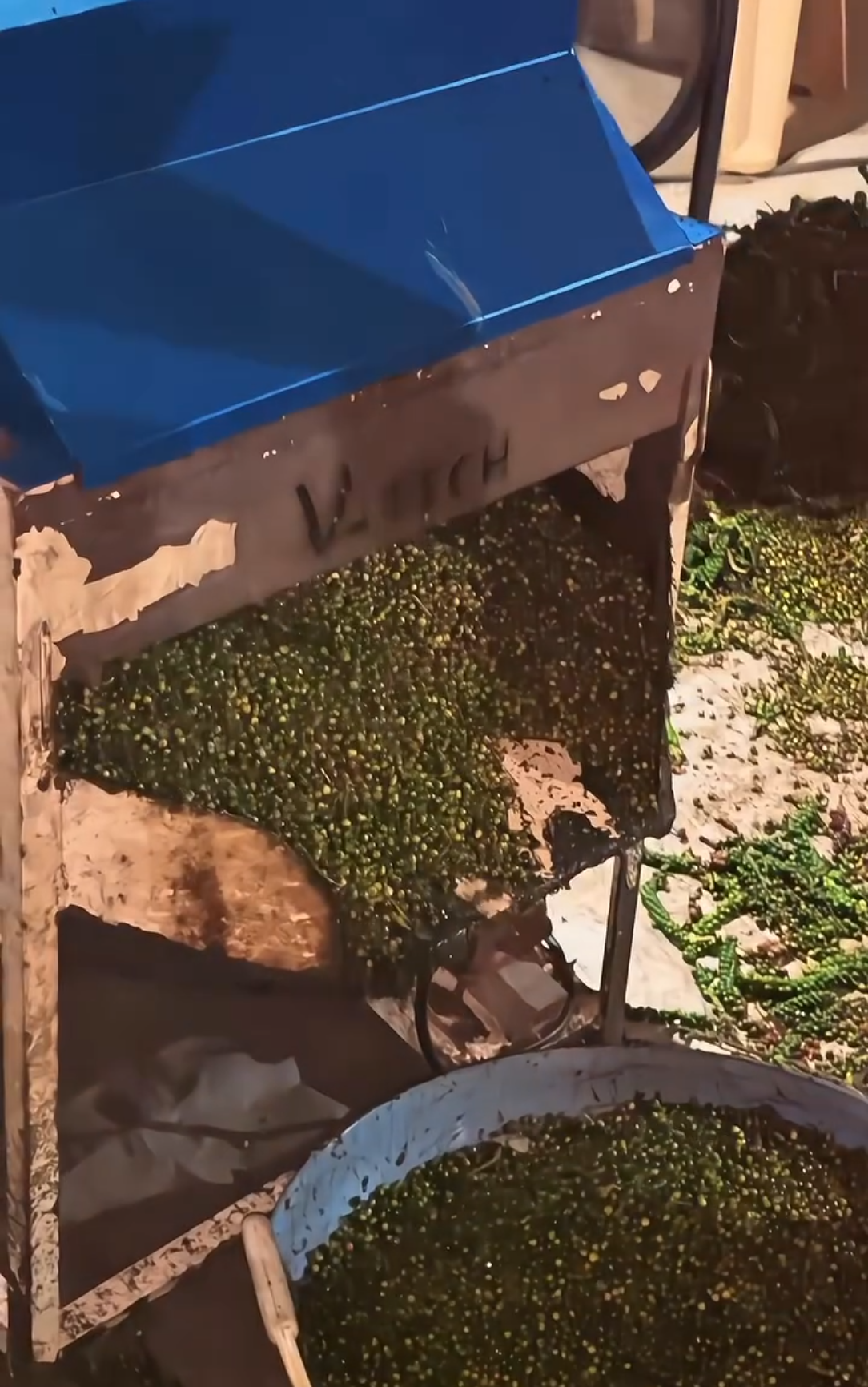 Hulled pepper berries at outlet