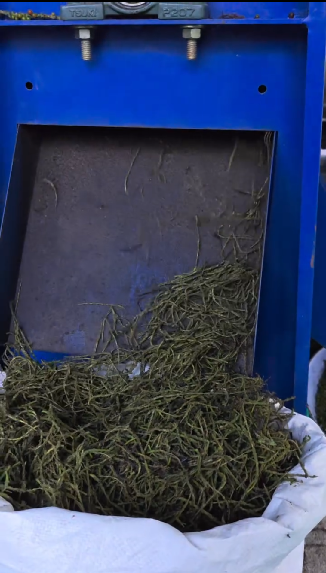 Pepper stalk waste after hulling