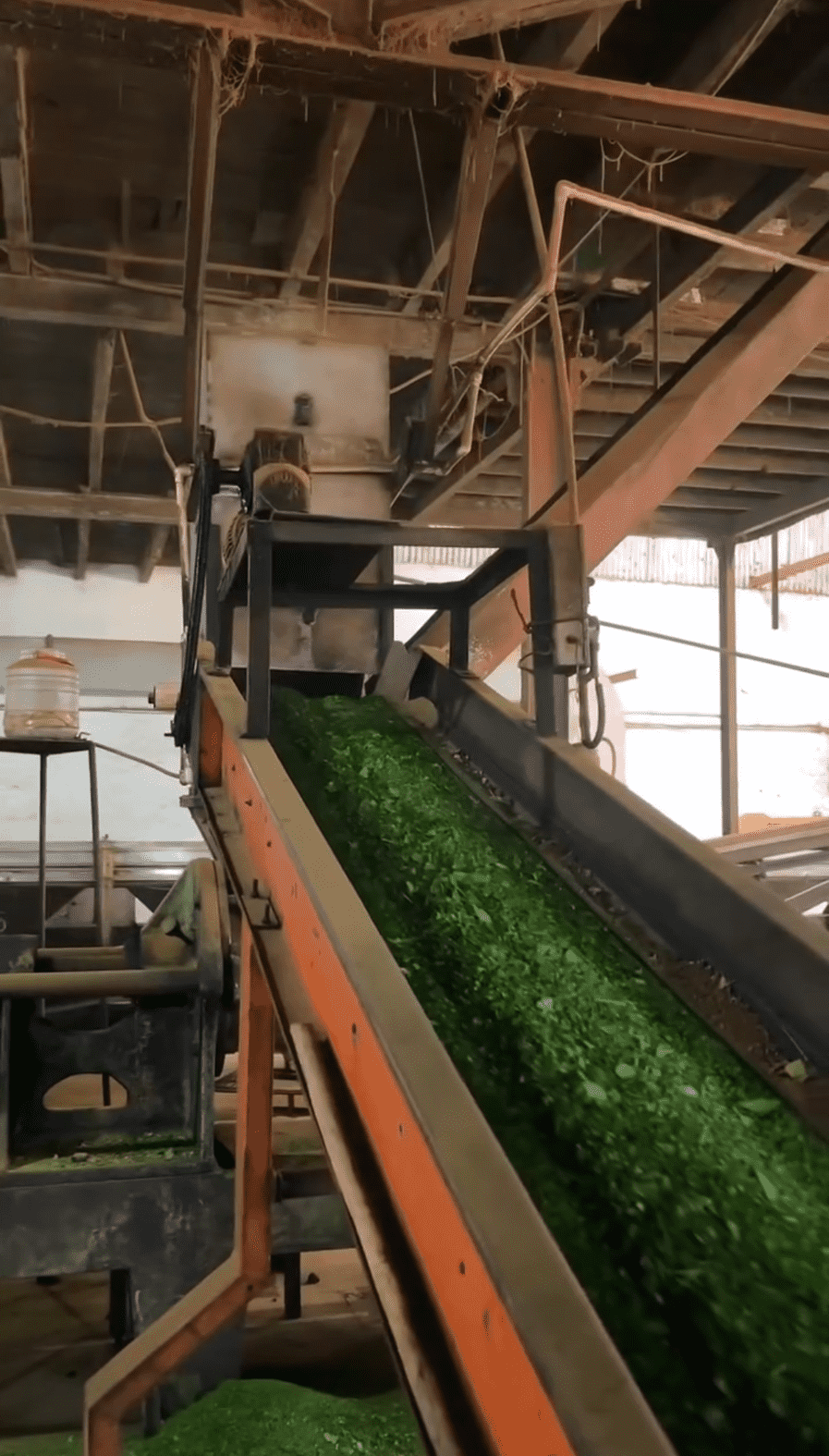 CTC tea cutting process