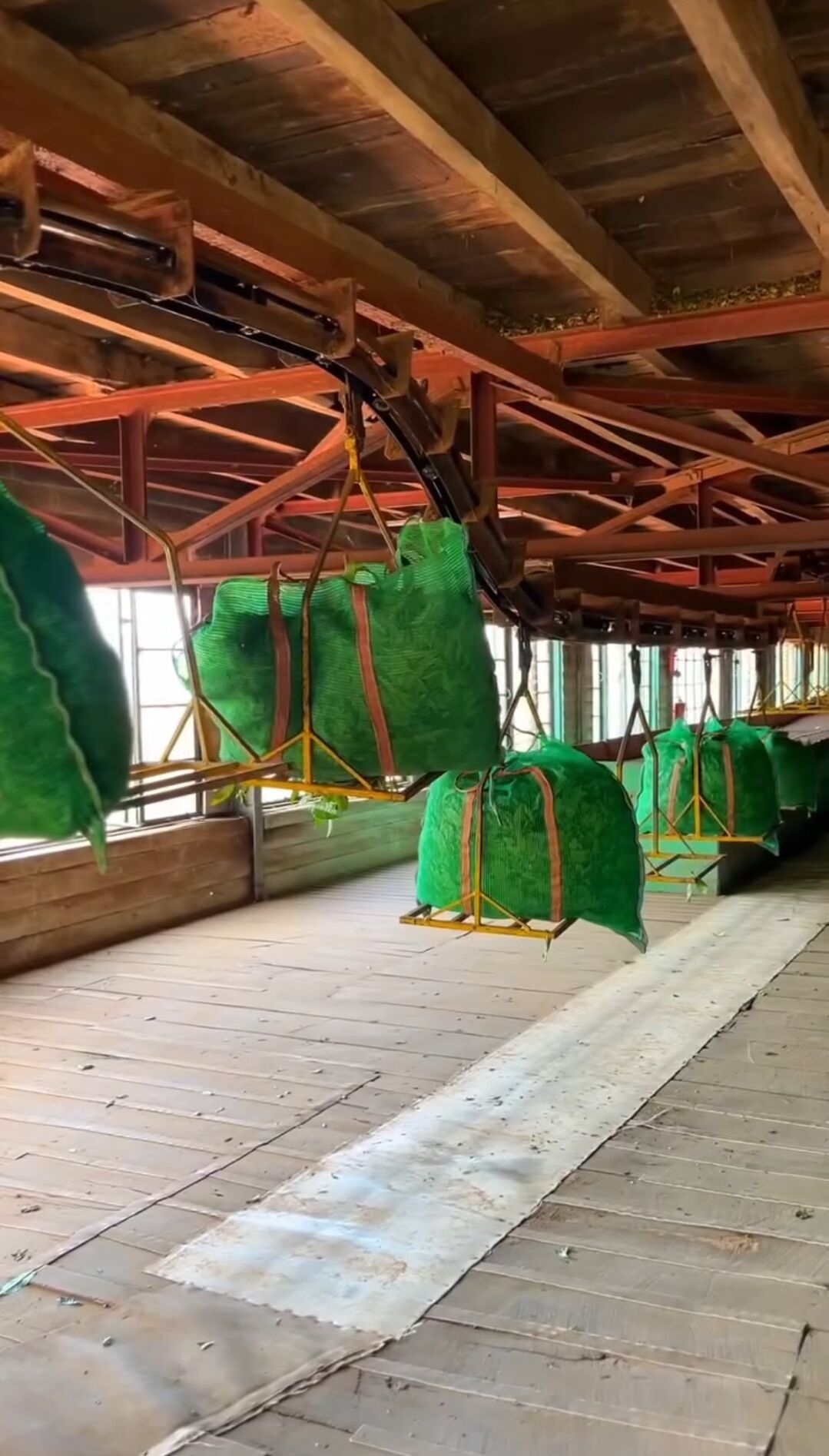 Tea factory exterior with withering troughs