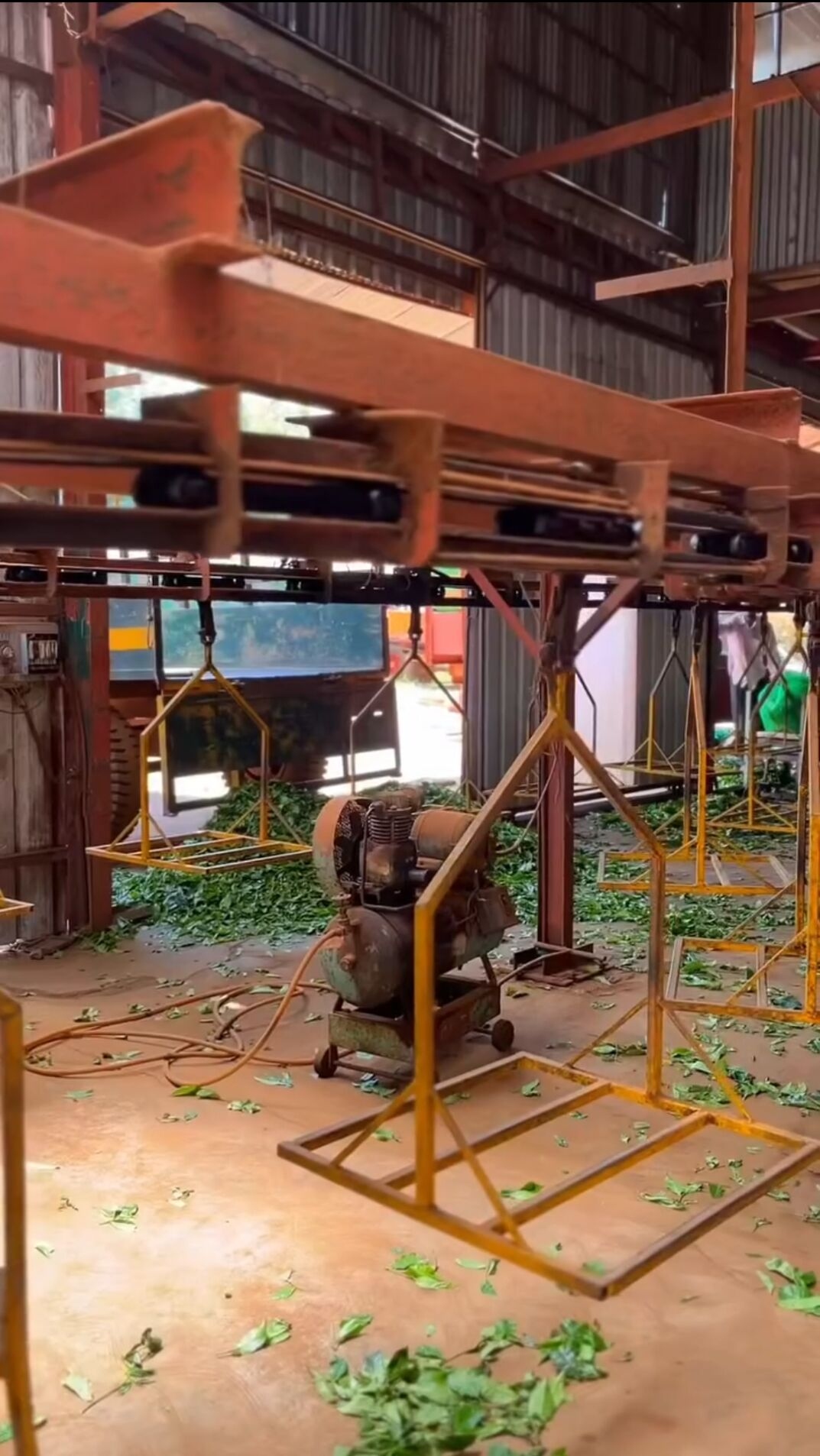 Tea processing unit entrance