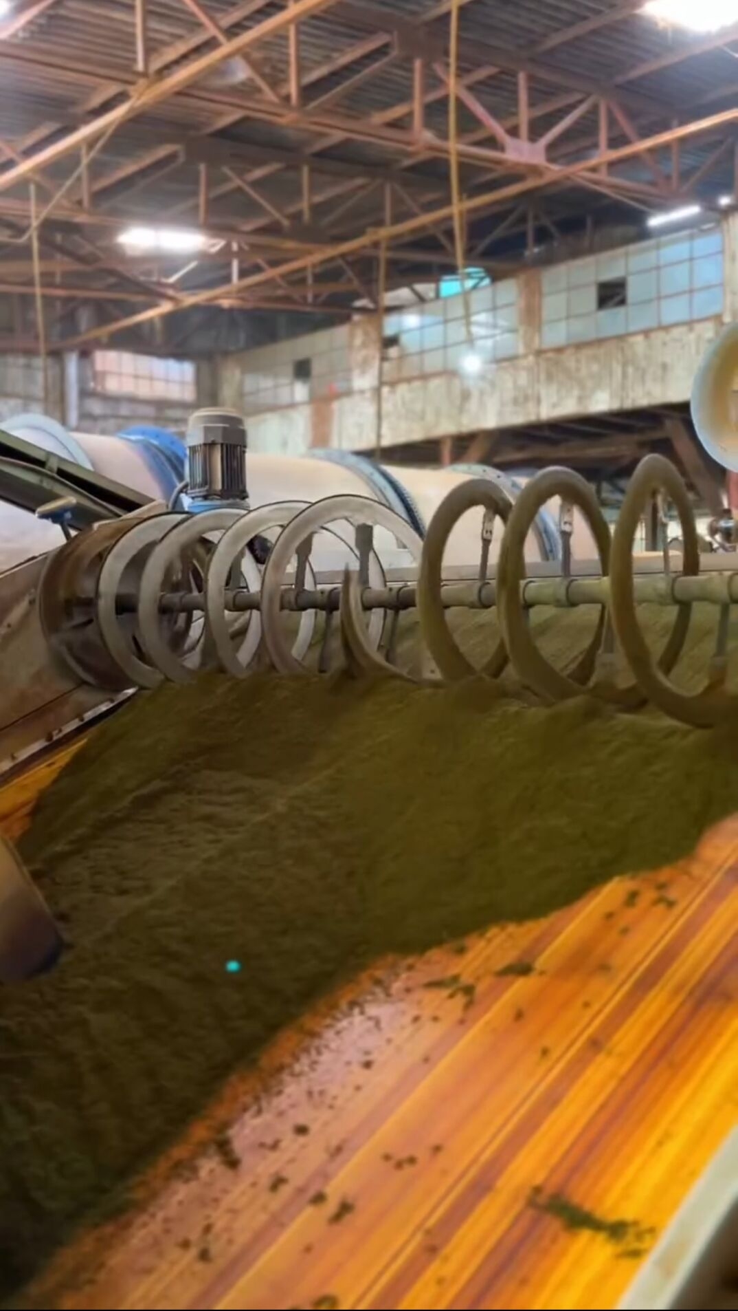 Tea rolling process in factory