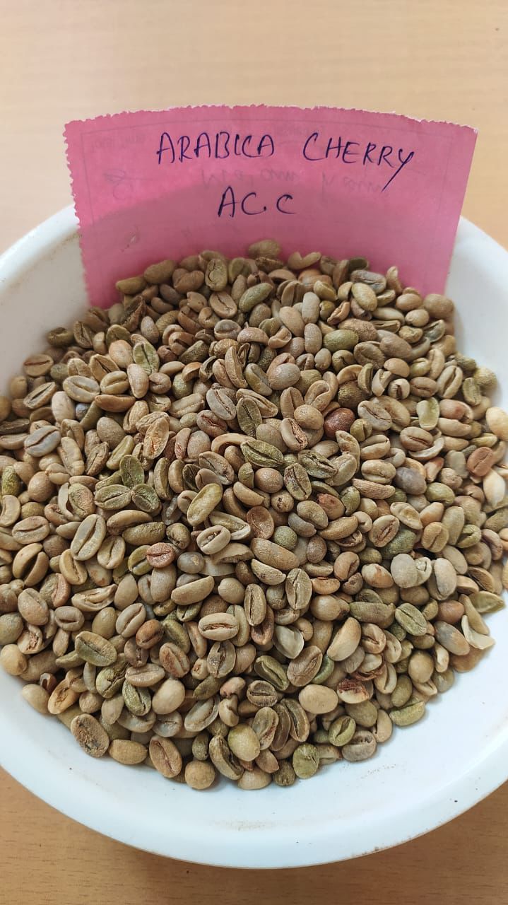 Arabica Cherry C
