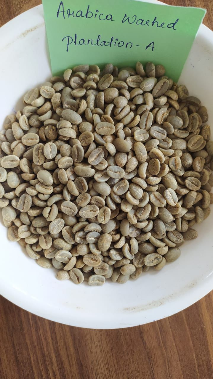 Arabica Plantation A