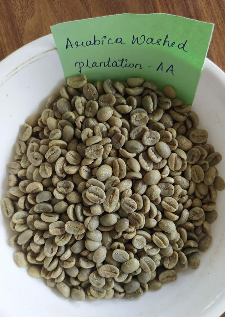 Arabica Plantation AA
