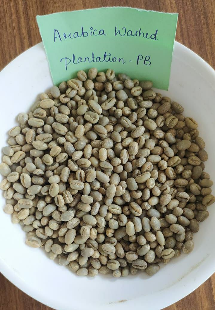 Arabica Plantation PB