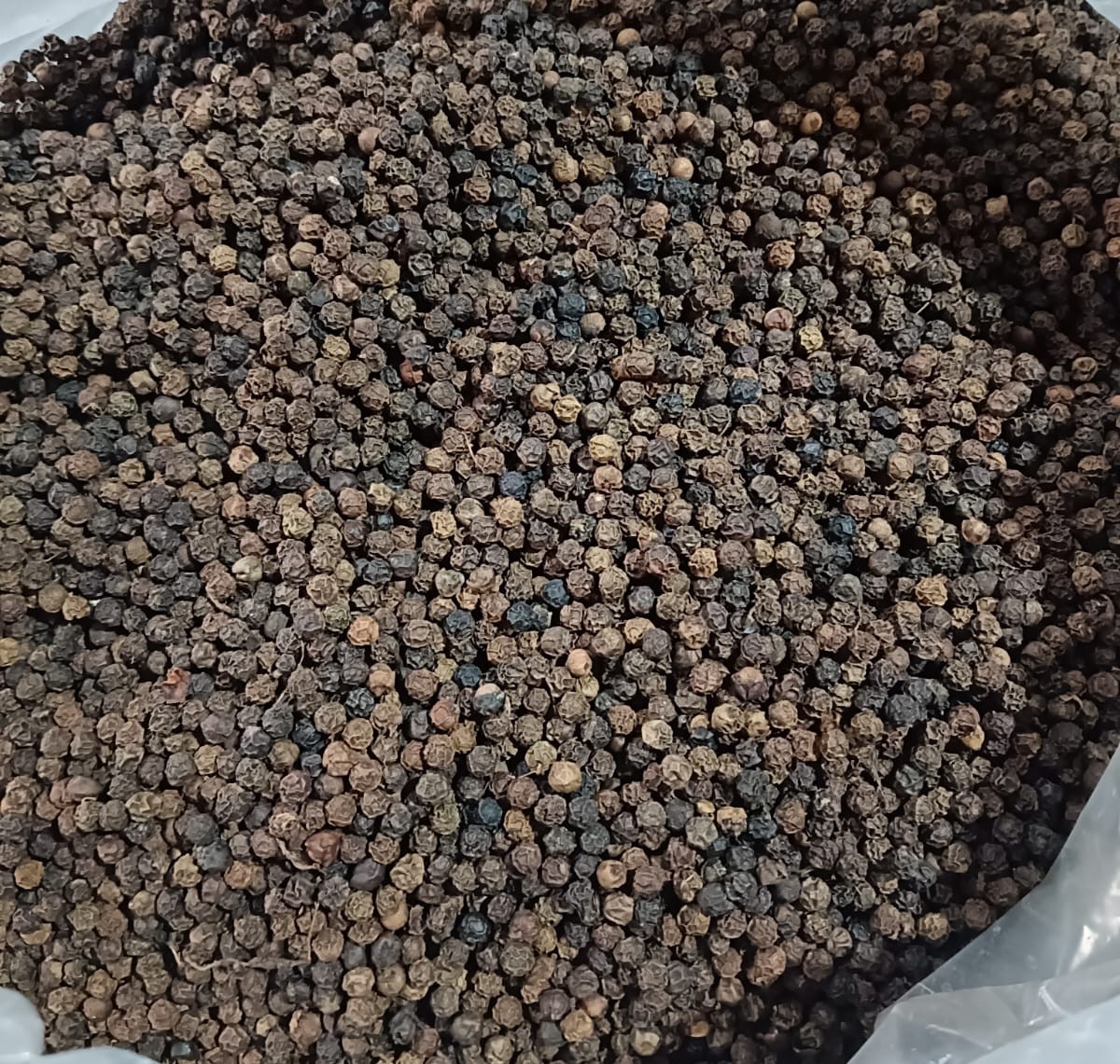 Black pepper