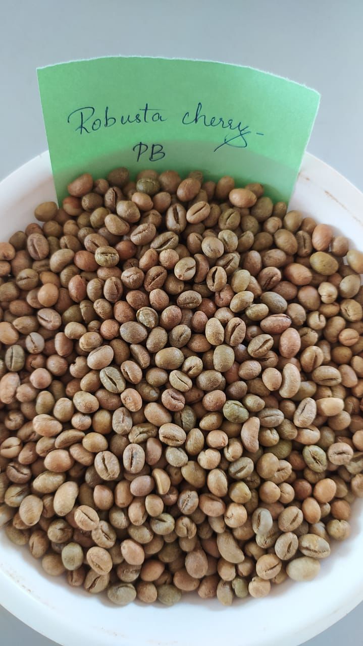 Robusta Cherry PB