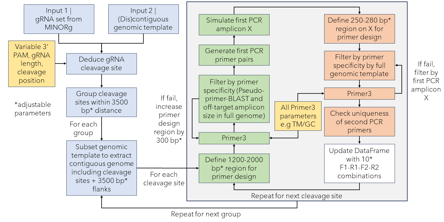 GitHub - rlrq/primerg-dc: Deep-sequencing primer design for multiple ...