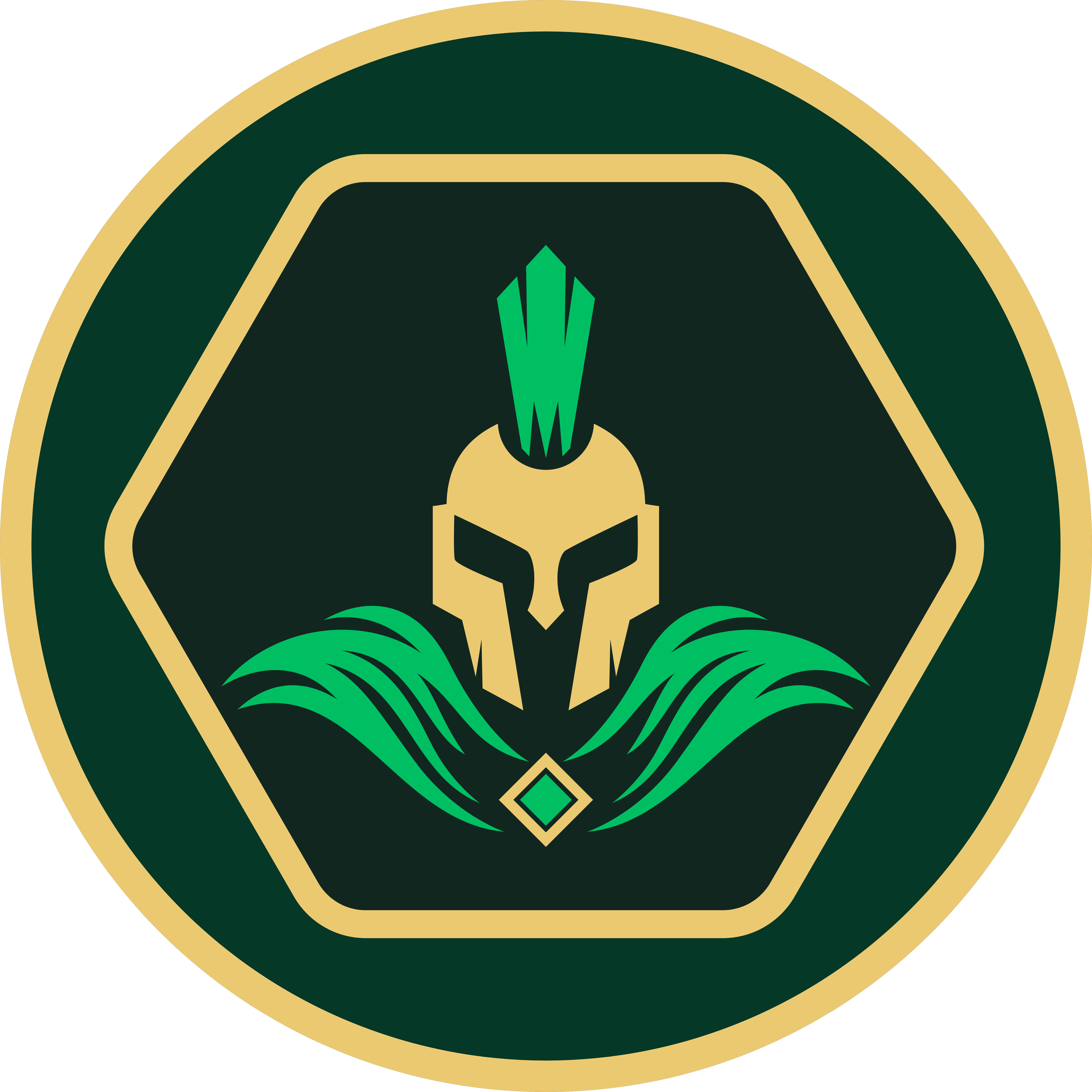 RAFI Official Spartan Cyber Security Emblem (@rmrashahriar)