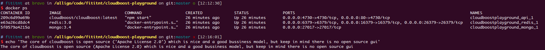 1-docker-running--no-gui.png