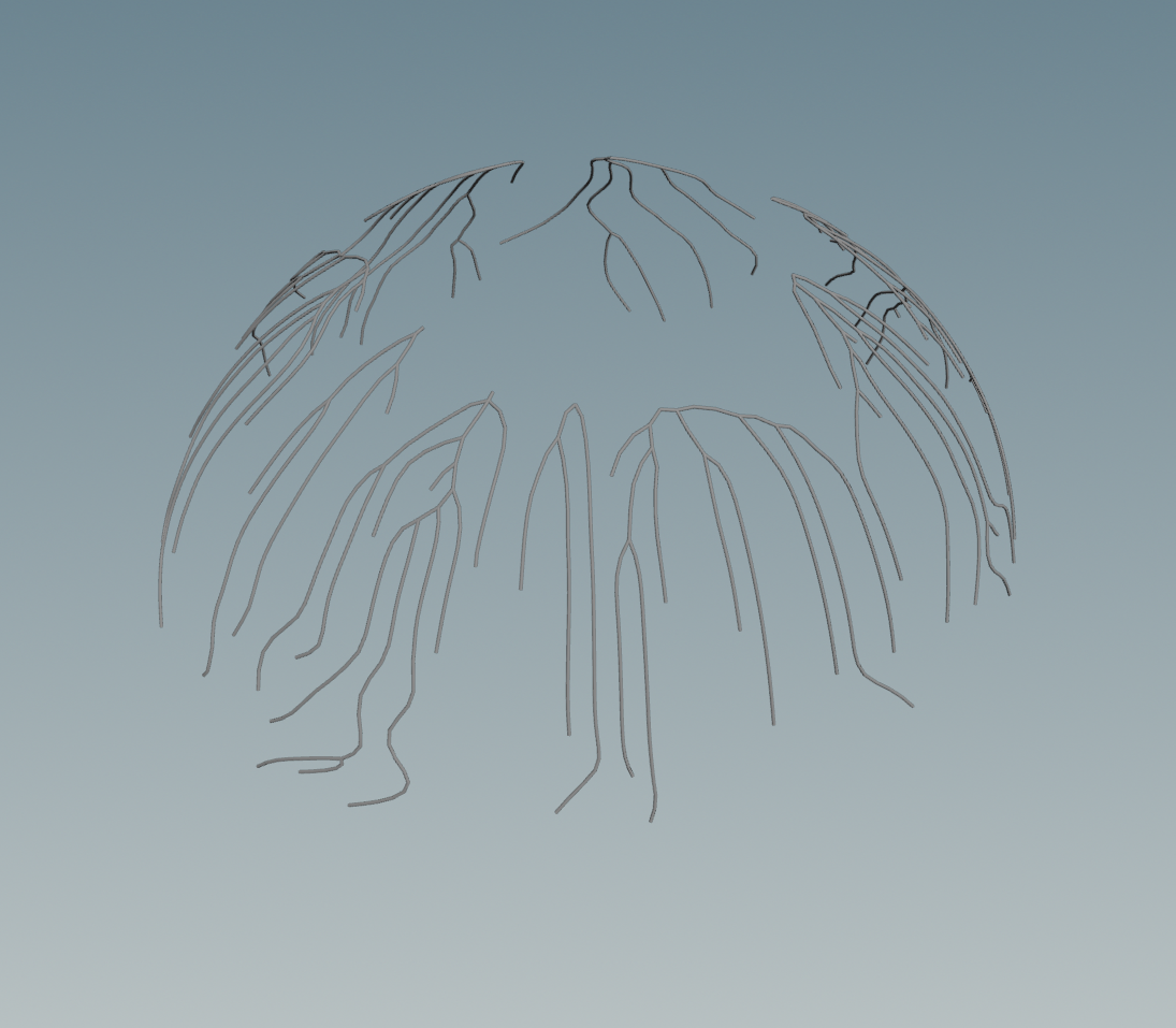Procedural jellyfish veins