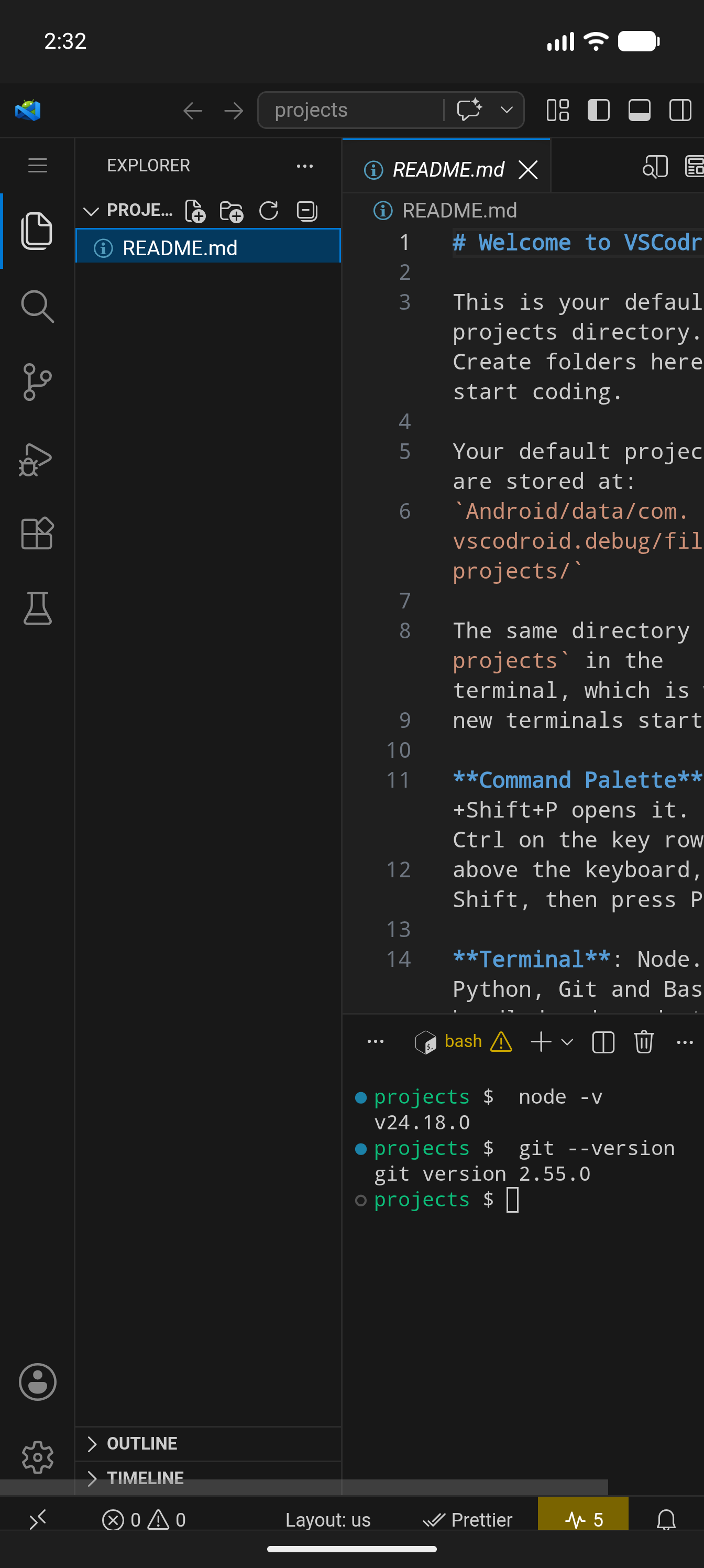 Code Editor with Terminal