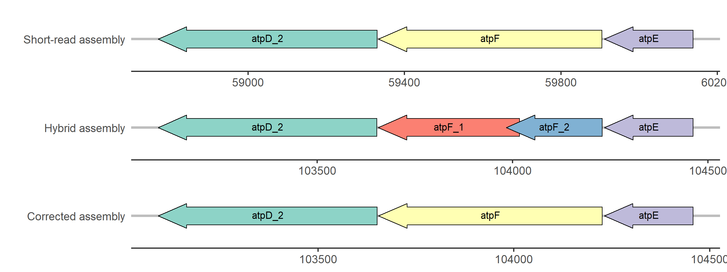 Simplified visualization of the update of the atpF gene in strain 15DD0234.