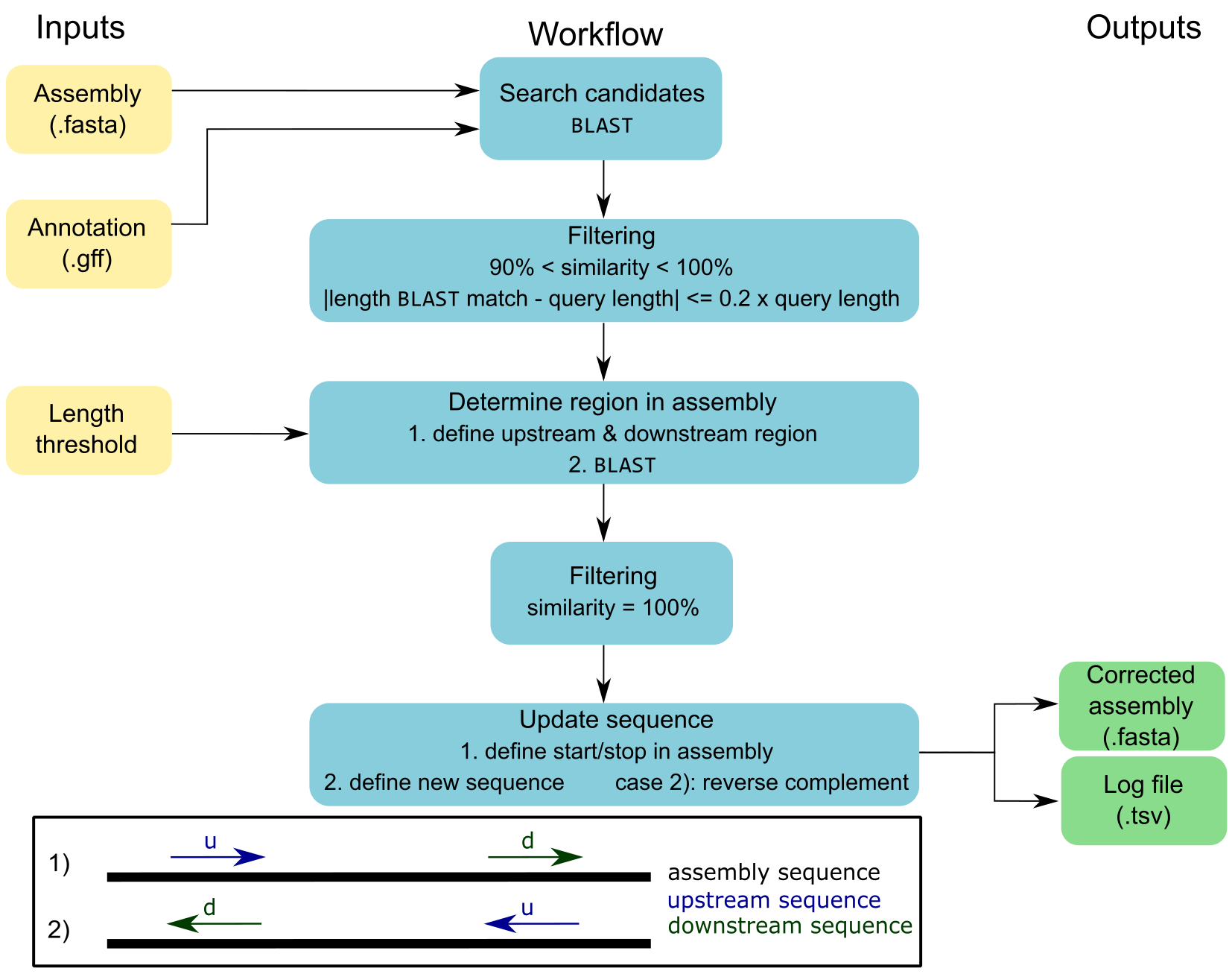 Simplified overview of the ORF correction workflow with cORFusi.