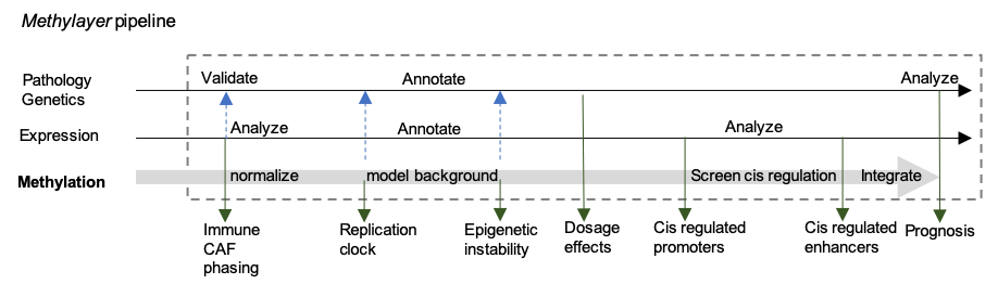 Methylayer