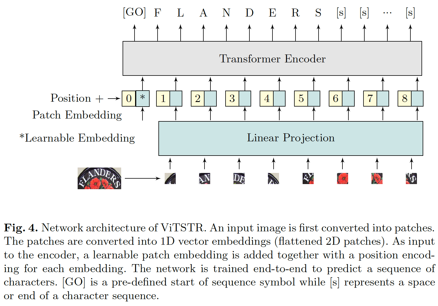 ViTSTR Model