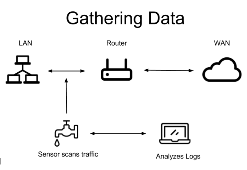 DNS data capture using a network sensor