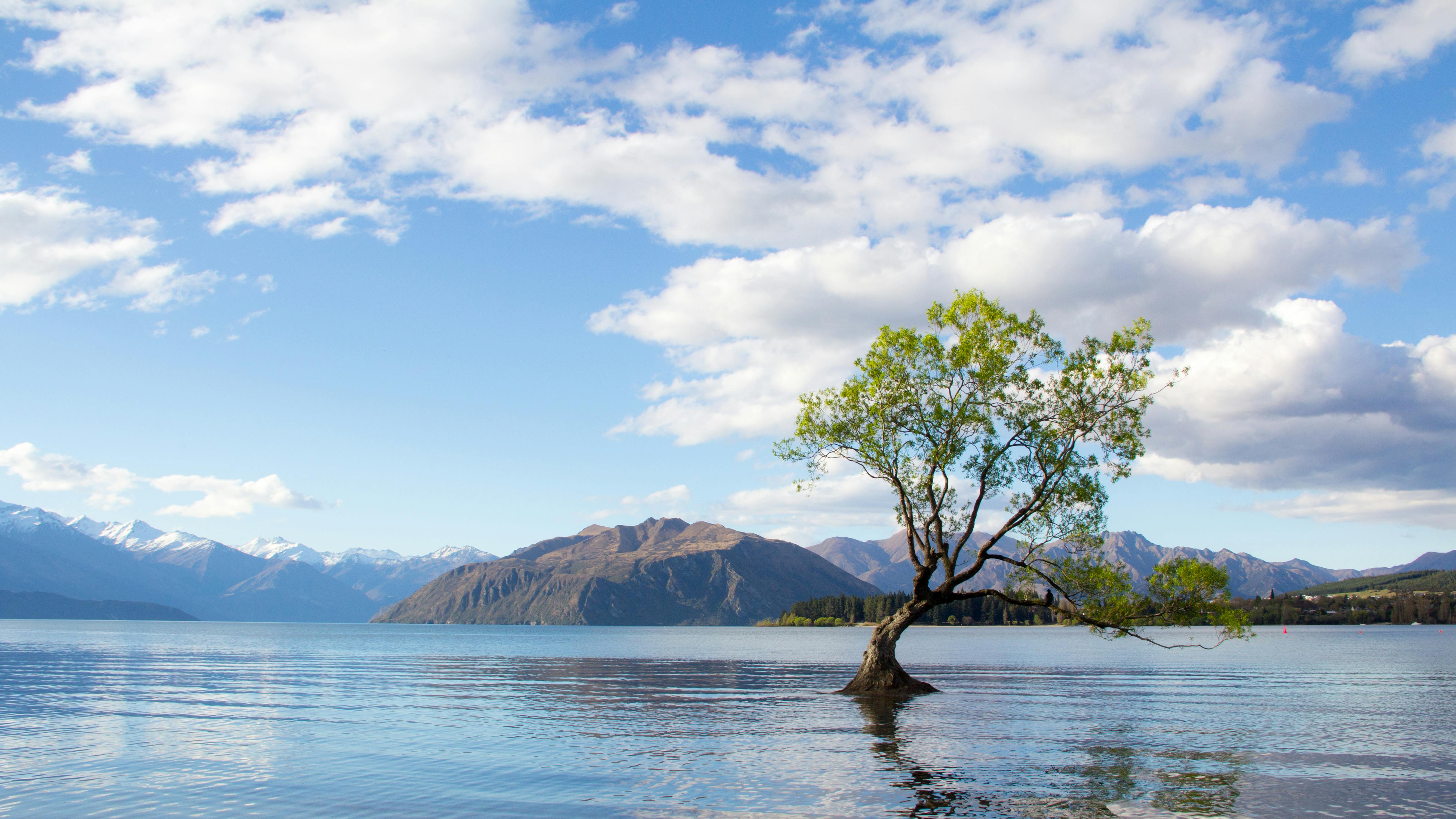 Lakeside starting image