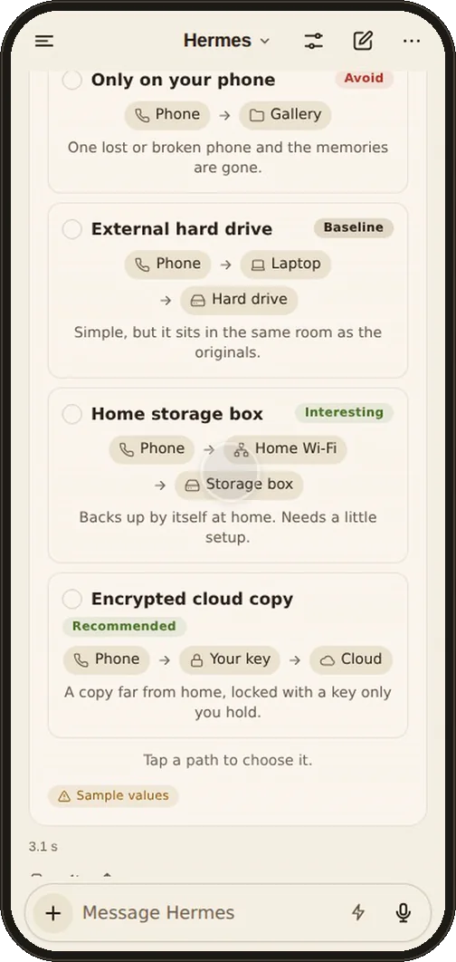 A tap on the path "Encrypted cloud copy" marks it as chosen and sends it to Hermes, which answers with a backup plan.